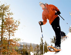 Half Day Guided Snowshoe Walks: